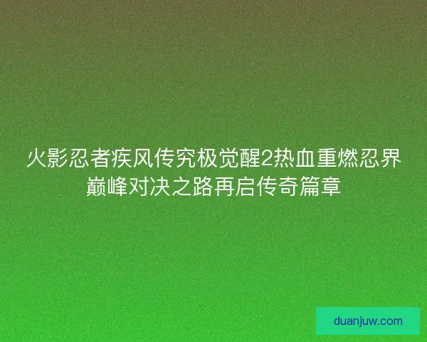 火影忍者疾风传究极觉醒2热血重燃忍界巅峰对决之路再启传奇篇章