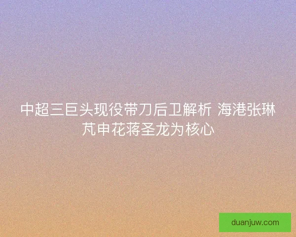 中超三巨头现役带刀后卫解析 海港张琳芃申花蒋圣龙为核心