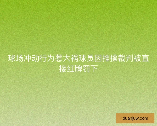 球场冲动行为惹大祸球员因推搡裁判被直接红牌罚下